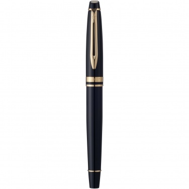Logotrade promotional giveaway image of: Waterman Expert rollerball pen