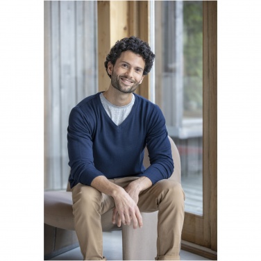 Logo trade promotional items picture of: Stanton men's v-neck pullover