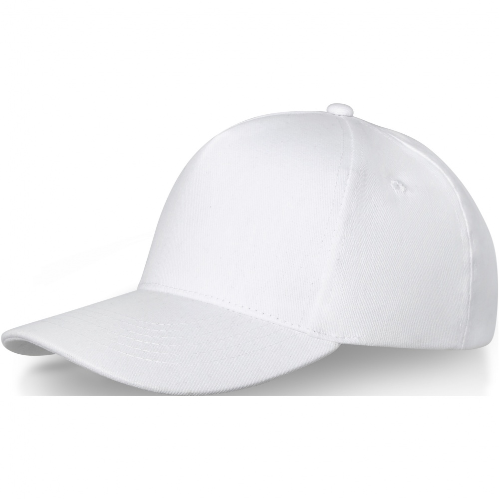 Logo trade promotional product photo of: Doyle 5 panel cap