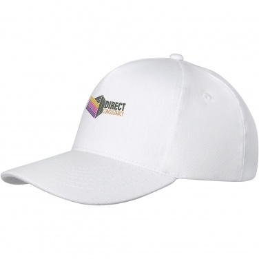 Logotrade corporate gifts photo of: Doyle 5 panel cap