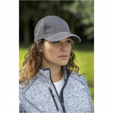 Logo trade promotional merchandise photo of: Darton 6 panel sandwich cap