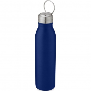 Logotrade promotional merchandise image of: Harper 700 ml stainless steel water bottle with metal loop