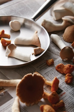 Logo trade promotional gift photo of: VINGA Vici Outdoor Pan