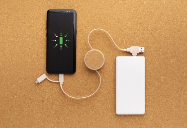 Logotrade promotional item picture of: Cork and Wheat 6-in-1 retractable cable