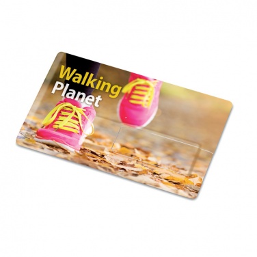 Logo trade promotional merchandise picture of: Creditcard. USB flash 4GB