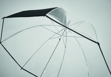 Logotrade promotional merchandise photo of: Transparent 23 inch manual open umbrella