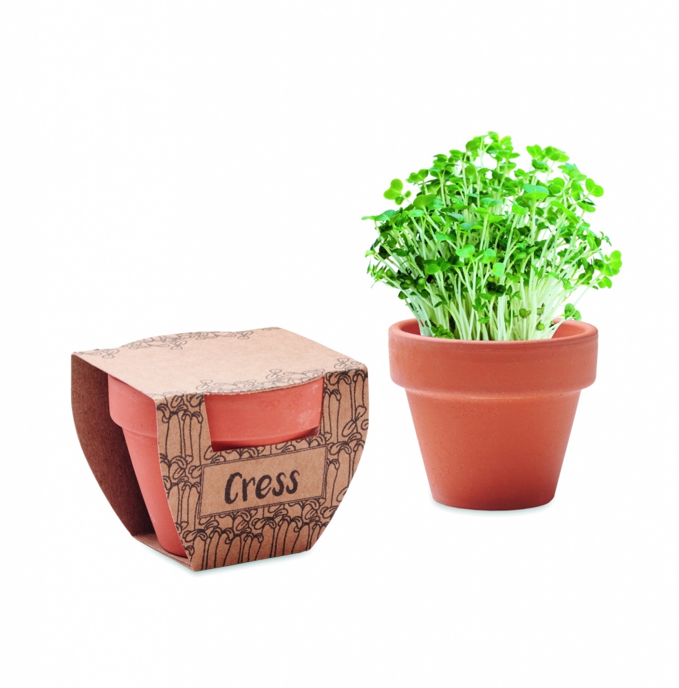 Logotrade business gift image of: Terracotta pot cress seeds