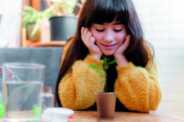 Logotrade advertising products photo of: Pine tree set