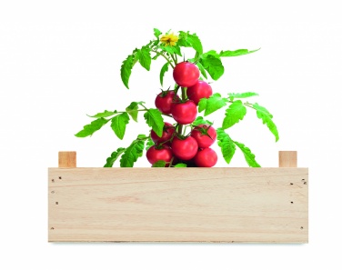 Logotrade advertising product picture of: Tomato kit in wooden crate