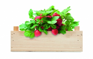 Logotrade business gifts photo of: Strawberry kit in wooden crate