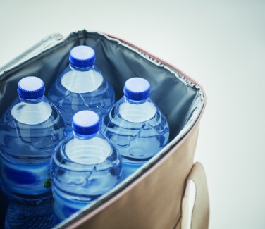 Logo trade promotional items picture of: Large cooler bag canvas 450gr/m