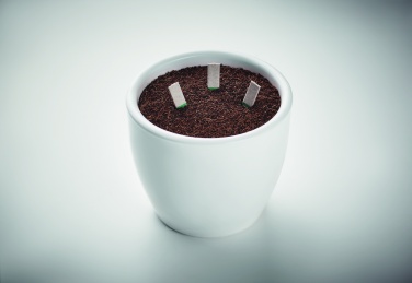 Logo trade promotional giveaways picture of: Herb seeds sticks