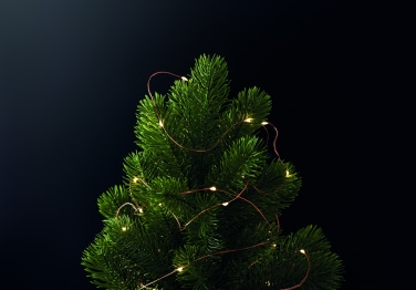 Logo trade advertising products image of: LED fairy lights string 5m