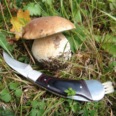 Logo trade promotional giveaways picture of: Mushroom knife PILZ Schwarzwolf