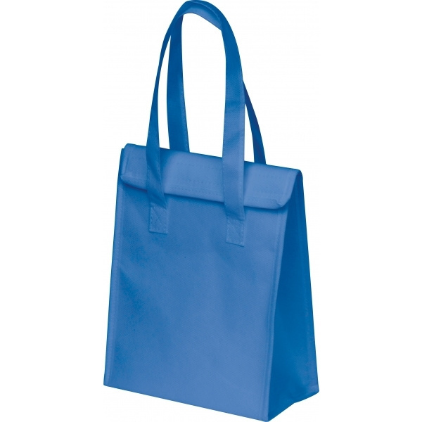 Logotrade promotional merchandise picture of: Cooler Bag PLZEN