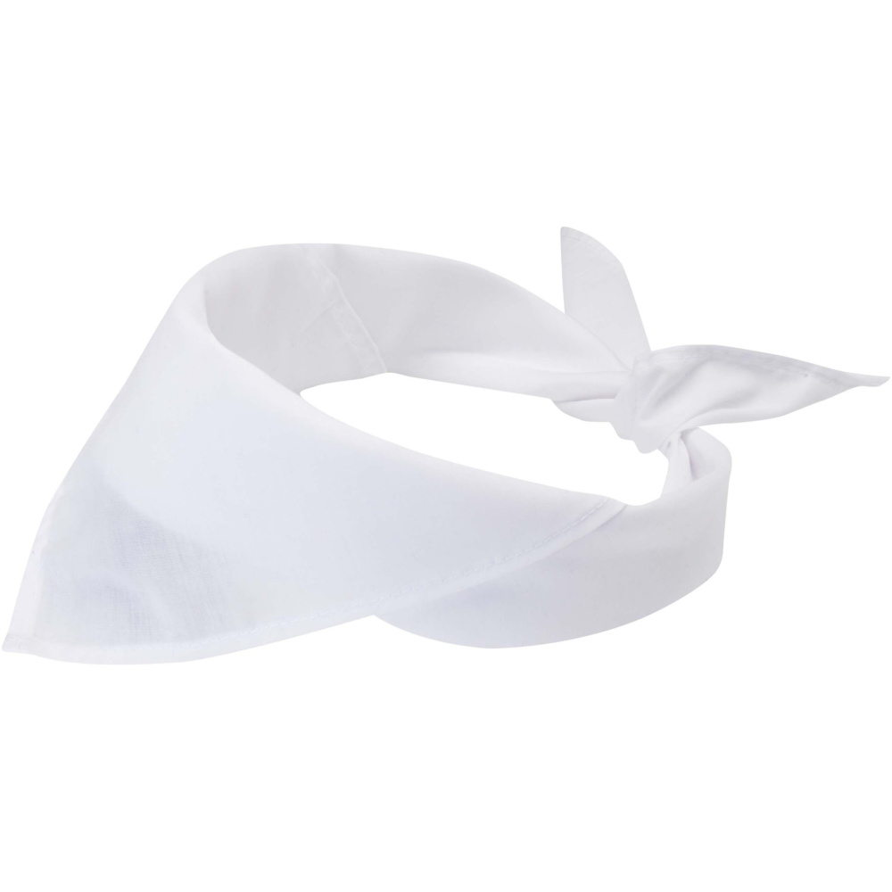 Logo trade advertising products picture of: Heracles bandana