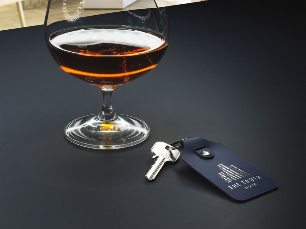 Logo trade promotional giveaways picture of: Keyring 1200094