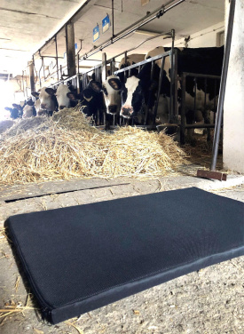 Logotrade promotional giveaway image of: Disinfection mat 60x50x3cm 1373087