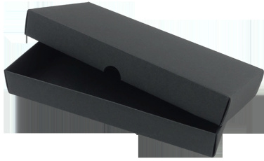 Logo trade promotional item photo of: Keyring 564131