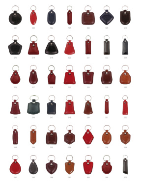 Logotrade corporate gift image of: Keyring 178011