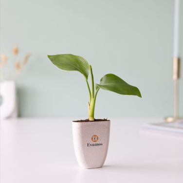 Logotrade promotional items photo of: Treemore Letterbox Trees Bird of Paradise plant