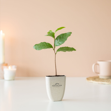 Logotrade business gifts photo of: Treemore Letterbox Trees Tea plant