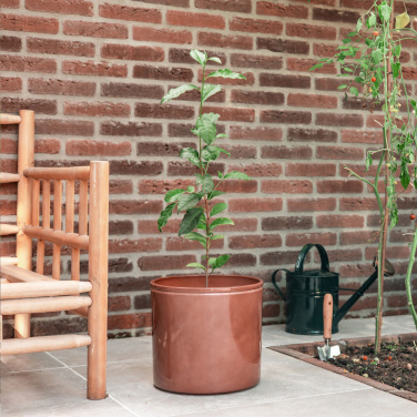 Logo trade promotional merchandise photo of: Treemore Letterbox Trees Tea plant