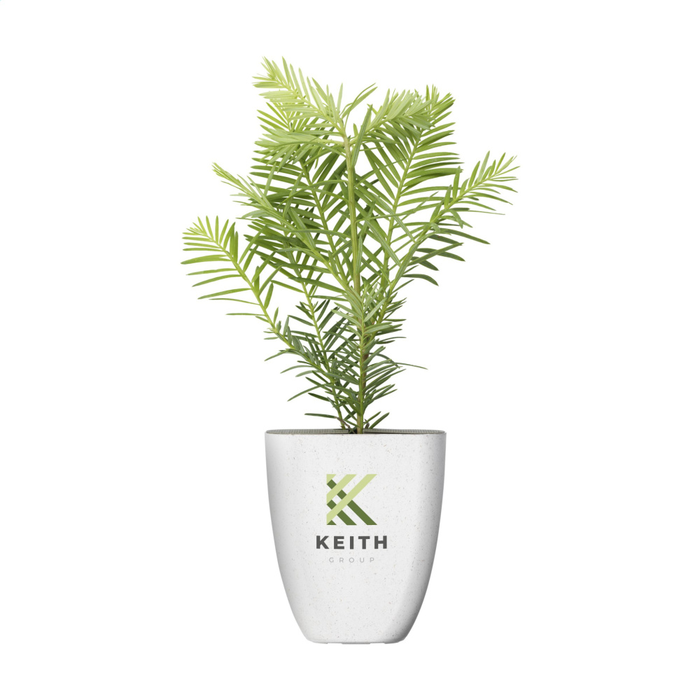 Logo trade promotional merchandise image of: Treemore Letterbox Trees Giant Sequoia