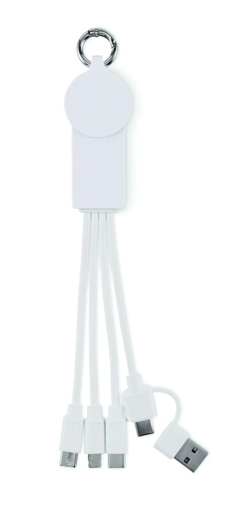 Logotrade promotional giveaway picture of: 2 in 1 charging cable type-C
