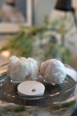 Logotrade promotional giveaway image of: Breevia RCS rplasic re-chargeable floating humidifier