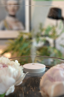 Logo trade promotional gift photo of: Breevia RCS rplasic re-chargeable floating humidifier