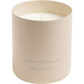 Wellmark scented candle, Ecru