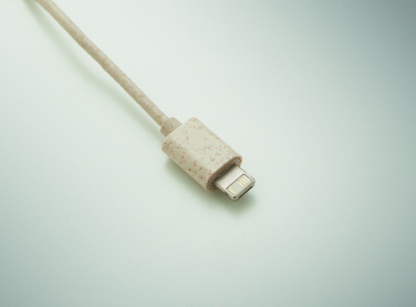 Logotrade promotional gift image of: Cable set in case