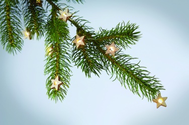 Logo trade reklaamkingid foto: Nöör 20 tähetulega