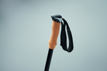 Logotrade ärikingi foto: Kepikõnnikepid