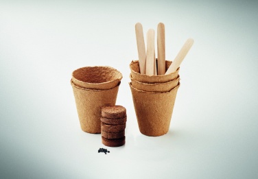 Logo trade ärikingitused foto: Lillede kasvatamise komplekt