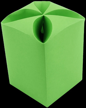 Logotrade firmakingitused pilt: Karp (14,5x7,5x7,5cm) 577037