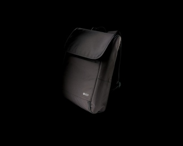 Logo trade liikelahja mainoslahja tuotekuva: Swiss Peak Fern AWARE™ RPET 15" reppu vetoketjulla