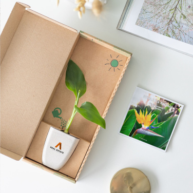 Logotrade liikelahjat kuva: Treemore Letterbox Trees Bird of Paradise -kasvi