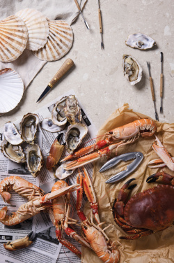 Logo trade mainoslahja kuva: VINGA Story of Seafood