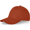 Davis 6 skydelio dangtelis, Plyta