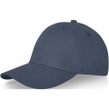 Davis 6 skydelio dangtelis, Hale Blue