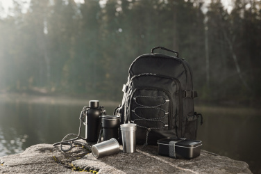 Logotrade dovana nuotrauka: VINGA Parks RCS SS butelis, 400 ml