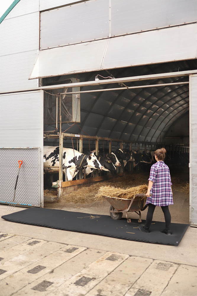 Лого трейд pекламные cувениры фото: Перекрёстный дезинфицирующий коврик 120x300x4cm 1384087