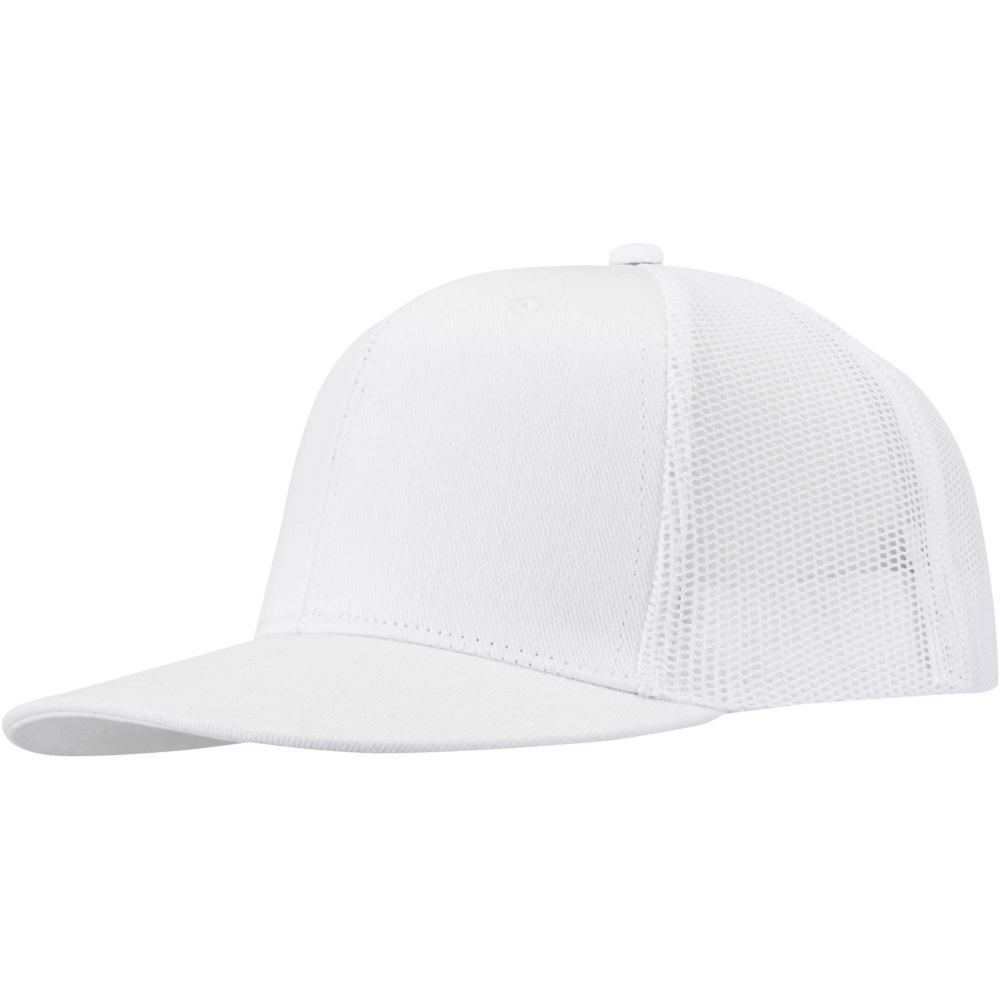 Логотрейд pекламные продукты картинка: 6-панельная кепка Drift Snapback 260 г/м2